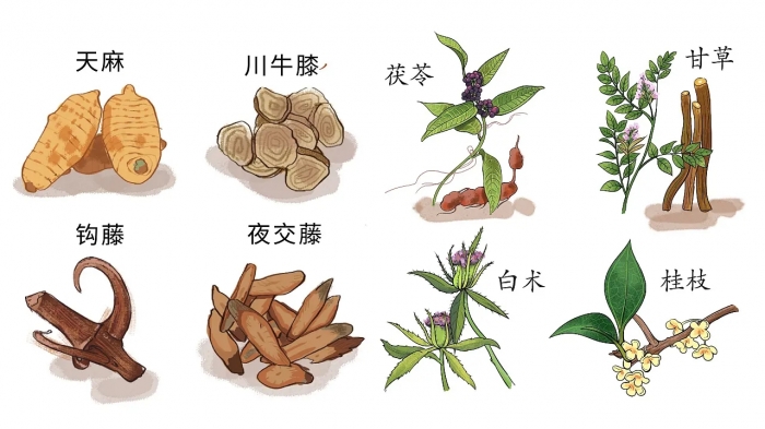 Theme Design | Chinese Herbs