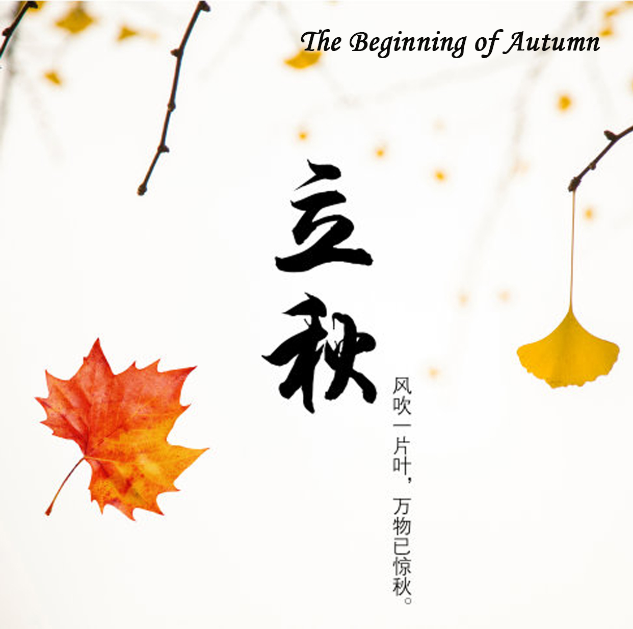立秋1.jpg